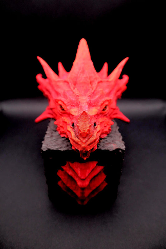Red Dragon Dice Case - Free Resin Dice Set Included! (dice colors vary)